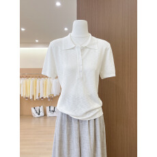 批发实拍~老钱风穿搭气质白色针织短袖T恤女夏季薄款polo领正肩小上衣