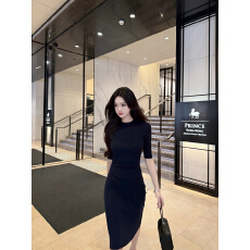 批发famouswang<b class='q'>秋</b>季新款lady感瑞<b class='q'>秋</b>中袖半高领气质修身连衣裙中袖
