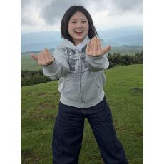 批发【广州纯棉面华棉复合】薄款 印花发泡 <b class='q'>卫衣</b>上衣