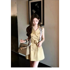 批发2026春夏无袖连衣裙女小个子翻领高级感高知得体重要场合漂亮裙子