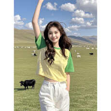 批发短袖T恤短款空白版光板上<b class='q'>衣服</b>