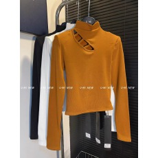 批发2025<b class='q'>秋</b>冬磨毛绒新款韩版设计感镂空性感半高领长袖T恤打底衫上衣