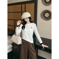 批发南瓜刺绣字母磨毛T恤女<b class='q'>欧洲站</b>2025秋装<b class='q'>新款</b>欧货女装时尚打底衫潮