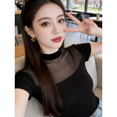 批发韩系半高领微透网纱拼接<b class='q'>短袖</b><b class='q'>T</b><b class='q'>恤</b>女2026夏季新款修身显瘦百搭上衣