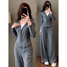 批发简约休闲运动套装女<b class='q'>春</b>秋季新款连帽气质时尚拉链外套长裤两件套