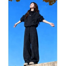 批发<b class='q'>春</b>秋季新款高级感套装女超火连帽时尚休闲运动卫衣阔腿裤两件套
