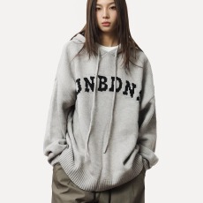 批发高质量柔软<b class='q'>北极</b><b class='q'>绒</b>毛衣外套女冬季美式宽松情侣连帽卫衣女