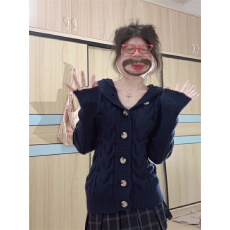 批发韩系学院风麻花针织开衫女秋冬高级感<b class='q'>修身</b>小个子短款连帽毛衣外套