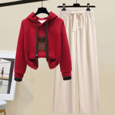 批发秋装搭配一整套加绒加厚洋气连帽小熊<b class='q'>卫衣</b>雪尼尔阔腿裤穿搭两件套