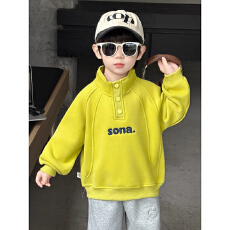 批发<b class='q'>男</b><b class='q'>童</b><b class='q'>加</b>绒<b class='q'>卫衣</b>2025冬季新款儿童韩版立领上衣宝宝<b class='q'>男</b>孩痞帅保暖衣服
