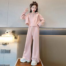 批发女童秋季套装儿童2026秋季新款洋气时髦女大童休闲阔腿裤两件套潮