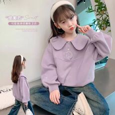 批发女童卫衣秋冬2026新款洋气童装秋装女孩儿童学院风衣服休闲上衣女