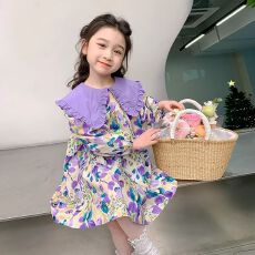 批发女童连衣裙秋冬款2026新款女宝宝秋季早秋衣服儿童装秋装公主裙子