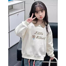 批发<b class='q'>女</b>童<b class='q'>卫</b>衣<b class='q'>春款</b>2026新款<b class='q'>女</b>孩洋气Polo上衣春秋冬季<b class='q'>宝宝</b>儿童长袖衣服