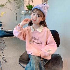 批发女童卫衣<b class='q'>春</b>秋款2026新款衣服童装女孩假两件<b class='q'>春</b>装儿童长袖上衣<b class='q'>春</b>季