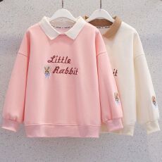 批发<b class='q'>女</b><b class='q'>童</b>卫衣秋冬款2026年新款洋气<b class='q'>童装</b>女孩假两件儿童<b class='q'>百搭</b>长袖上衣女