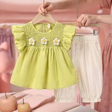 批发<b class='q'>女</b><b class='q'>童</b>套装2026新款夏季儿童洋气时髦韩范两件套女宝宝无袖衣服裤子