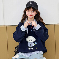 批发<b class='q'>女童</b>卫<b class='q'>衣</b>秋冬加绒儿童洋气假两件上衣秋季韩版女大童宽松百搭衣服