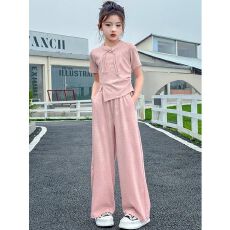 批发<b class='q'>女童</b>中<b class='q'>式</b>2026年新款时髦女大童夏季国风气质时尚短袖阔腿裤两件套