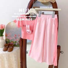 批发女童洋气夏季短袖套装网红时髦女宝宝2026新款<b class='q'>休闲</b>两件套薄款韩版