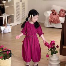 批发<b class='q'>女</b><b class='q'>童</b>短袖套装夏季2026年新款儿童超好看<b class='q'>夏装</b>女宝宝衣服宽松束脚裤