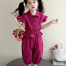 批发<b class='q'>女</b><b class='q'>童</b>短袖套装夏季新款2026年儿童超好看<b class='q'>夏装</b>女宝宝衣服宽松束脚裤