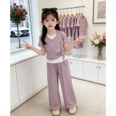 批发<b class='q'>女</b><b class='q'>童</b>短袖套装夏季2026新款洋气儿童假两件T恤女孩夏装休闲阔腿裤