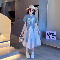 批发<b class='q'>女童</b>夏<b class='q'>季</b>裙子2026新款超好看的中大童女孩夏天薄款儿童网纱<b class='q'>连衣裙</b>