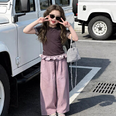 批发<b class='q'>女</b>童<b class='q'>夏</b>季<b class='q'>韩</b>系花边短袖T恤巨好看<b class='q'>套装</b>2026新款儿童<b class='q'>宝宝</b>洋气休闲裤