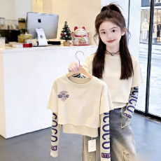 批发【40支酷丝爽棉1*1螺纹】2026年春秋新款印花休闲长袖假两件上衣