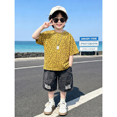 批发【索罗娜】<b class='q'>儿童</b>装男童夏2026新款T恤韩范痞帅小男孩夏季豹纹上衣
