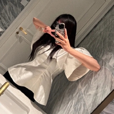 批发chic <b class='q'>韩国</b>夏季法式洋气轻奢泡泡袖气质修身宫廷百搭衬衫上衣