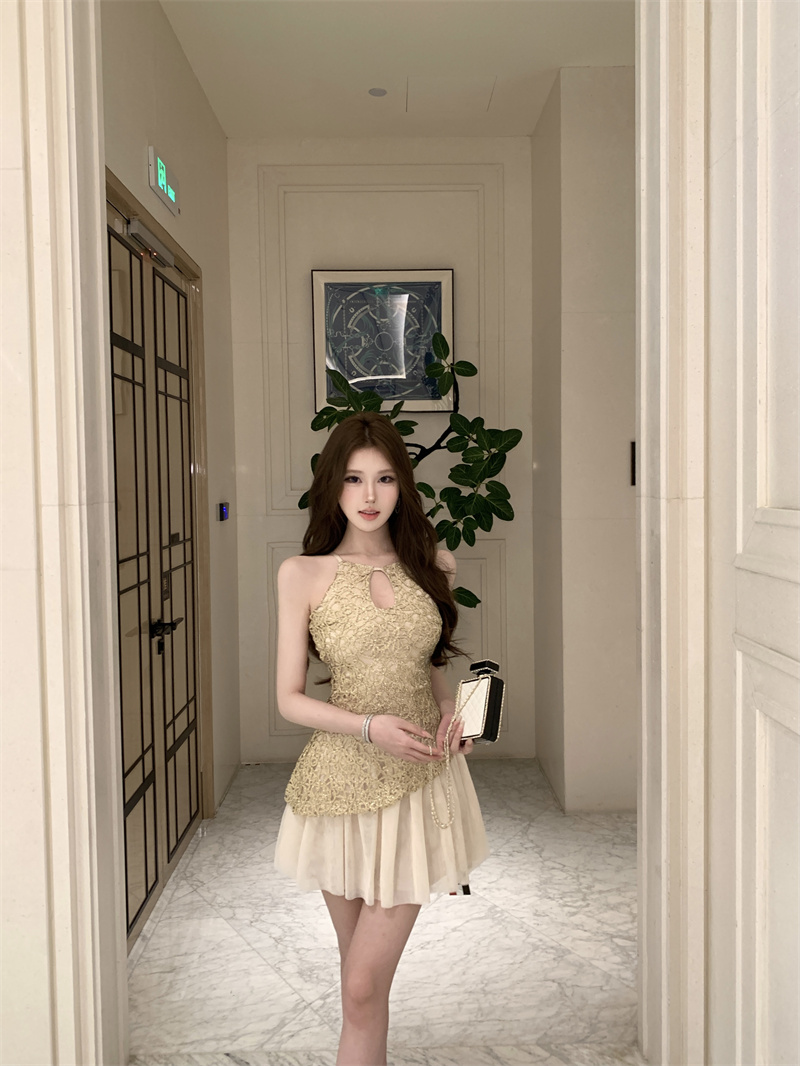 실사 프랑스식 홀로우 아웃 여성 드레스 핫걸 레이스 싸움 망사 명문 여성 천 골드 몸매 가꾸기 분위기 센스 치마