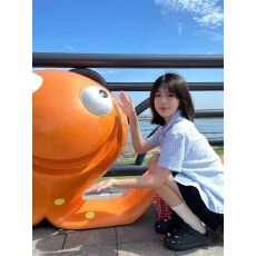 批发蓝色polo领刺绣<b class='q'>短袖</b>衬衫女夏季百搭别致格子衬衣