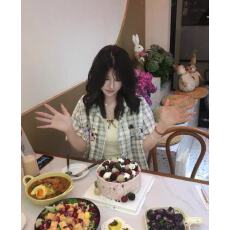 批发美式趣味小狗毛巾绣格子<b class='q'>短袖</b><b class='q'>衬衫</b>女夏季宽松休闲<b class='q'>衬衣</b>独特上衣