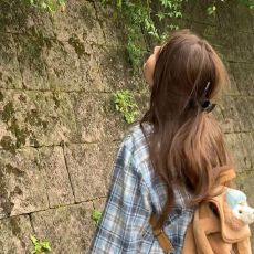 批发蓝色格子POLO领长袖休闲<b class='q'>衬衫</b>女春季宽松显瘦<b class='q'>衬衣</b>百搭chic开衫上衣