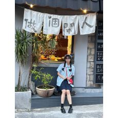 批发蓝色polo领刺绣<b class='q'>短袖</b><b class='q'>衬衫</b>女夏季百搭别致格子<b class='q'>衬衣</b>