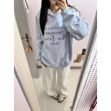 批发100%棉面华棉320g/420g印花2026秋冬宽松慵懒风连帽卫衣