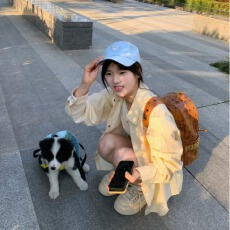 批发美式复古黄色条纹衬衫女2026新款小狗刺绣早秋外套宽松学院风上衣