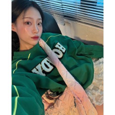 批发纯棉华棉复合银狐绒小众<b class='q'>明星</b>柳智敏<b class='q'>同款</b>刺绣字母圆领卫衣女秋冬季