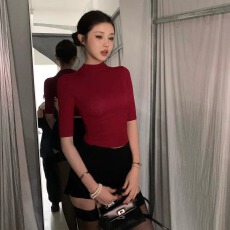 批发<b class='q'>中袖</b>t恤女小高领打底衫内搭2025夏新款修身显瘦半袖短款上衣