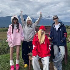 批发薄款/加绒 内抽<b class='q'>原</b>布印花 原版做工【纯棉华棉复合】卫衣女