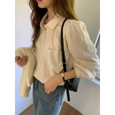 批发冬季新款韩国<b class='q'>东大门</b><b class='q'>代购</b>温柔气质磨毛肌理感竖纹衬衫