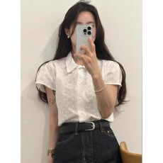 批发韩国夏日新款chic 时尚镂空 纯棉 勾花刺绣短袖衬衫女