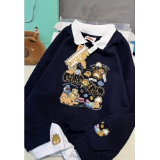 批发330g纯棉 加绒爆款 重工刺绣 2025款百搭<b class='q'>潮牌</b>常规长袖高级感<b class='q'>卫衣</b>