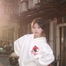 批发高质量/原版做工/毛巾绣/后包330g纯棉前后绣花 连帽款百搭卫衣潮