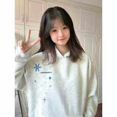 批发330g纯棉 加绒薄款 高质量 刺绣 男女可穿刺绣<b class='q'>百搭</b>套头款卫衣外套