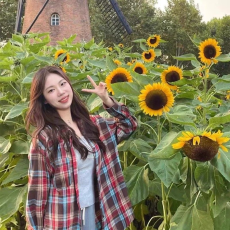 批发新款衬衫女韩版复古港味POLO领学生格子宽松外套衬衣女