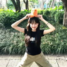 批发1*1纯棉 常规款 正肩短袖 高弹力新款夏季修身显瘦洋气上衣