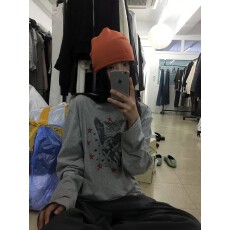 批发纯棉210克精梳精密印花秋季宽松长袖T恤女